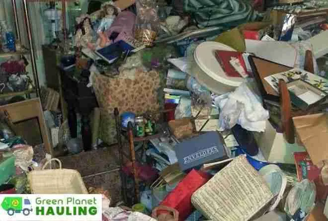 Clean-Hoarder-House