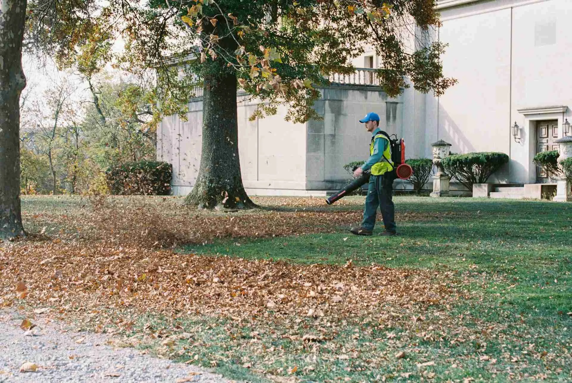 Yard Waste Removal Solutions for Eco Friendly Cleanup Yard debris hauling