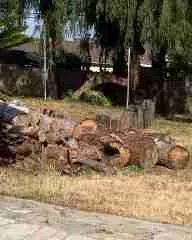 Yard Waste Removal in Orange County CA Expert Yard Waste Removal in Orange County CA