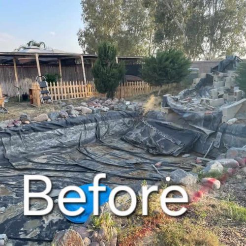 Backyard cleanouts before