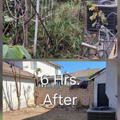Backyard cleanup Santa Ana