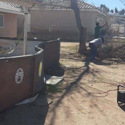 backyard cleanup