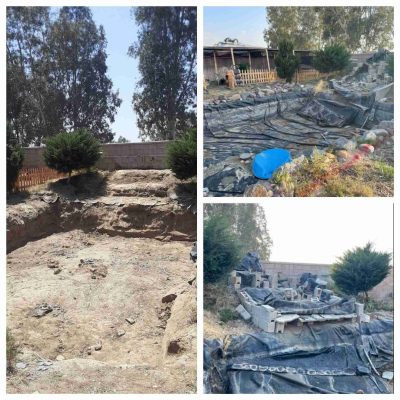 Backyard cleanouts