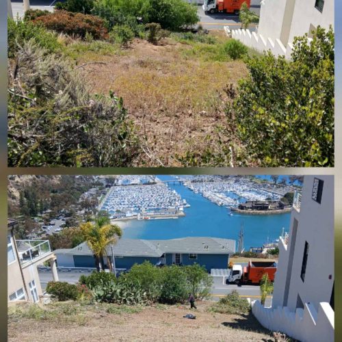 Brush removal dana point ca.