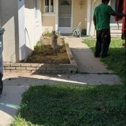 Debris removal lake forest ca