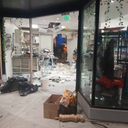 Emergency Cleanups-outs