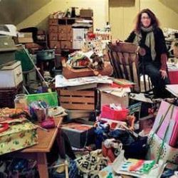 professional organizer