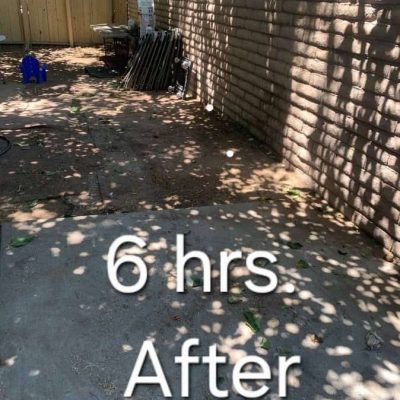 Hoarding cleanup up after 6 hrs.