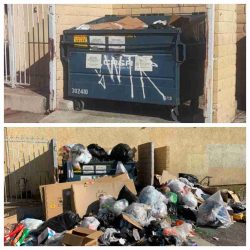 Illegal dumping cleanup near me