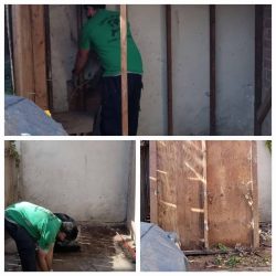 shed removal